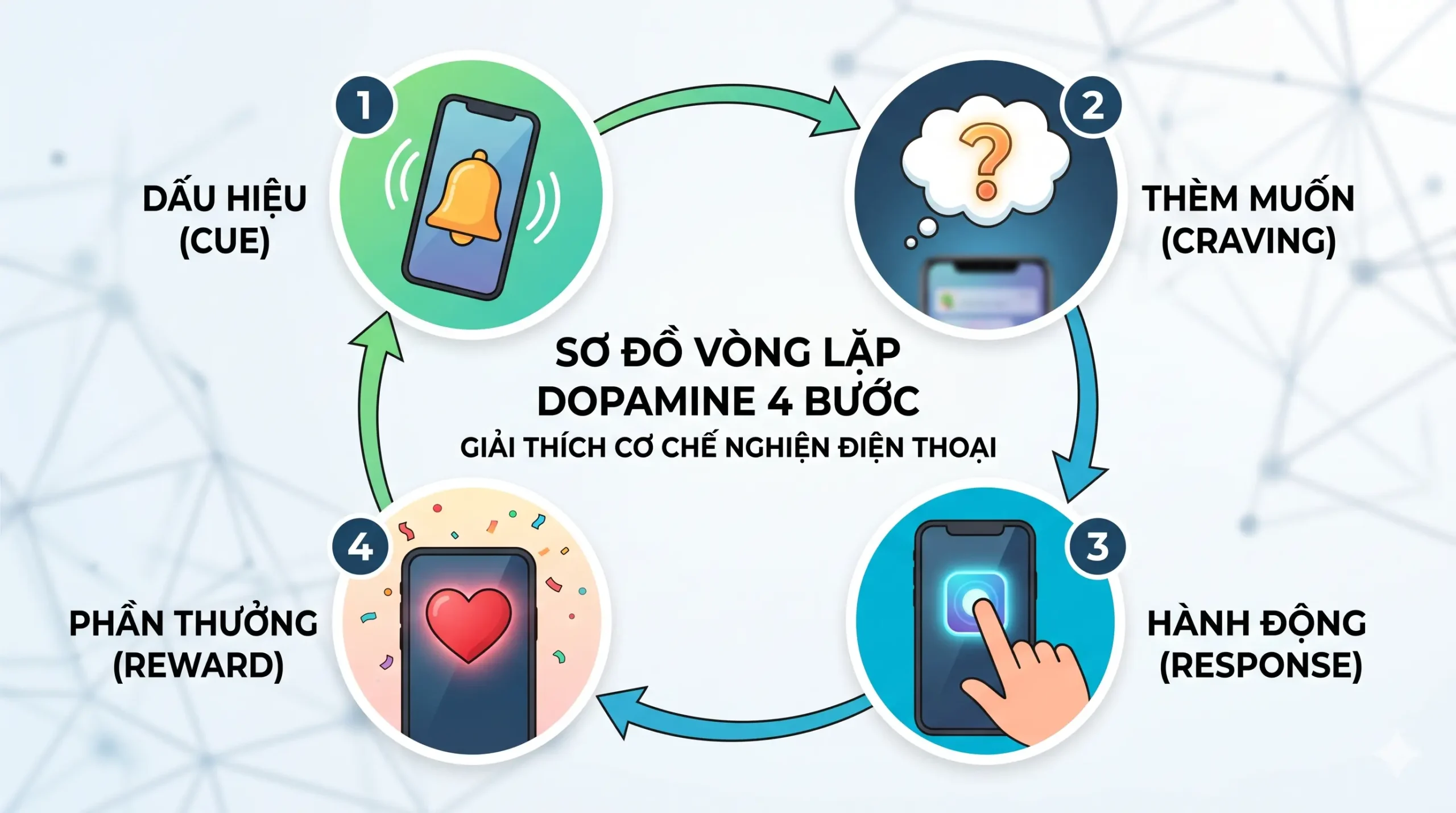 Sơ đồ vòng lặp dopamine 4 bước: cue (dấu hiệu), craving (thèm muốn), response (hành động), reward (phần thưởng) – giải thích cơ chế nghiện điện thoại